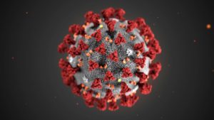 coronavirus stages enseignement supérieur